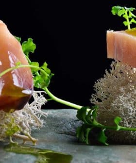 Two pieces of sliced tuna garnished with flowers and herbs on a stone surface. - Olive Oil Times