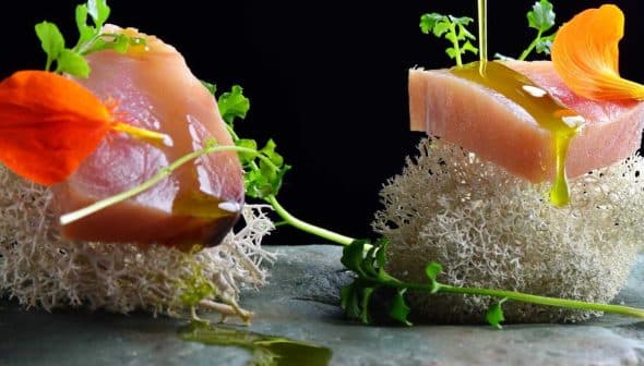 Two pieces of sliced tuna garnished with flowers and herbs on a stone surface. - Olive Oil Times