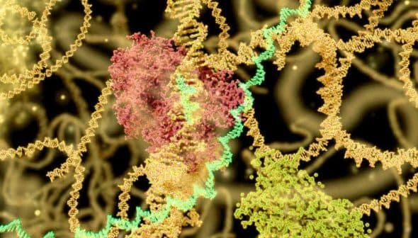 Illustration of molecular structures with colorful representations of DNA and proteins. - Olive Oil Times