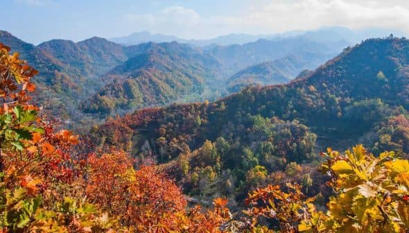 Vibrant autumn landscape featuring mountains and colorful foliage in various shades of red, orange, and yellow. - Olive Oil Times