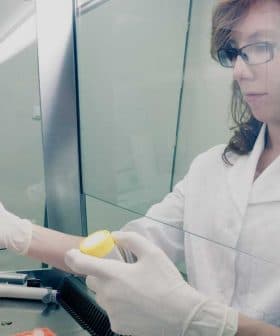 Laboratory technician in a white coat using a pipette to handle samples in a lab environment. - Olive Oil Times