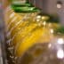 Row of glass bottles filled with olive oil on a production line with green caps. - Olive Oil Times