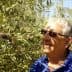 Man wearing sunglasses standing near an olive tree with olives visible on the branches. - Olive Oil Times
