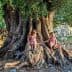 Two children sitting on the roots of a large olive tree, interacting with each other. - Olive Oil Times