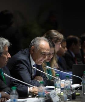 Group of officials seated at a conference table during a meeting, with a speaker addressing the group. - Olive Oil Times