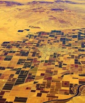 Aerial view of a patchwork of agricultural fields in a desert landscape with a river running through. - Olive Oil Times