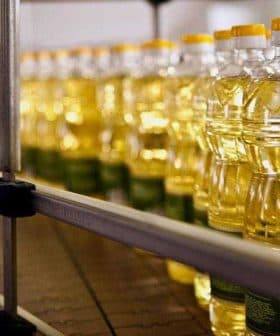 Rows of clear plastic bottles filled with cooking oil on a production line. - Olive Oil Times