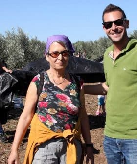 Two individuals posing for a photo in an olive grove during the olive harvesting process. - Olive Oil Times