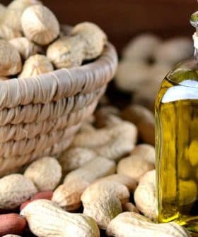 Glass bottle of peanut oil with a cork stopper next to a bowl of peanuts on a wooden surface. - Olive Oil Times