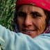 Woman wearing a pink headscarf and sweater harvesting olives from a tree. - Olive Oil Times