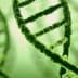 Close-up view of a green DNA double helix structure with a blurred background. - Olive Oil Times