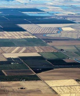 Aerial view of patchwork agricultural fields with varying colors and patterns. - Olive Oil Times