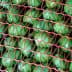 A close-up view of green olives enclosed in a red netting for storage or transport. - Olive Oil Times