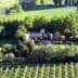 Aerial view of a vineyard with a large estate surrounded by trees and greenery. - Olive Oil Times