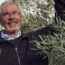Man smiling while harvesting olives from an olive tree, holding branches with olives. - Olive Oil Times