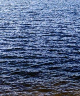 Surface of calm water with gentle ripples reflecting light in various shades of blue. - Olive Oil Times