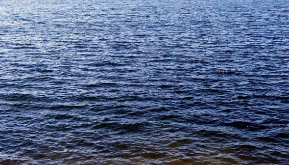 Surface of calm water with gentle ripples reflecting light in various shades of blue. - Olive Oil Times