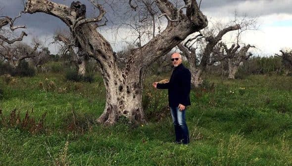 A man in a black jacket standing next to an olive tree in a field. - Olive Oil Times