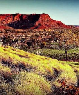 A red rock formation surrounded by grassland and sparse trees under a clear sky. - Olive Oil Times