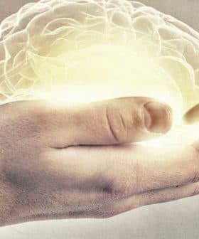 Two hands holding a glowing representation of a brain with a light effect. - Olive Oil Times