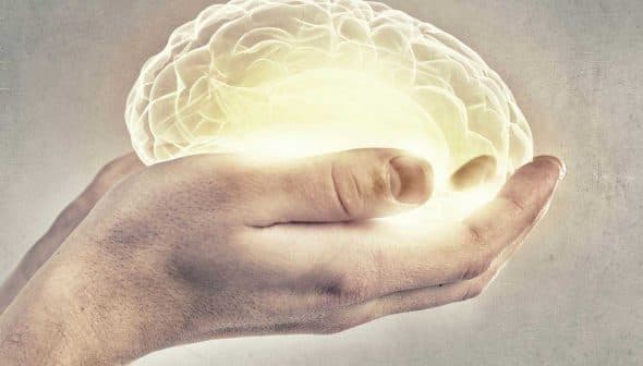 Two hands holding a glowing representation of a brain with a light effect. - Olive Oil Times