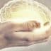 Two hands holding a glowing representation of a brain with a light effect. - Olive Oil Times