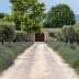 Gravel pathway lined with olive trees and lavender plants leading to a wooden gate. - Olive Oil Times