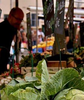 Close-up of fresh green vegetables displayed at a market stall with price tags visible. - Olive Oil Times