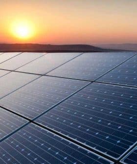 Row of solar panels reflecting sunlight during sunset with a distant horizon. - Olive Oil Times