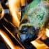Green peppers being grilled on a barbecue grill with flames visible. - Olive Oil Times