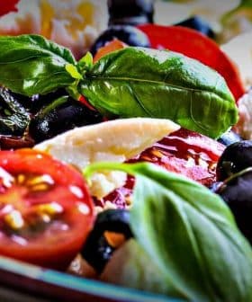 A bowl of mixed salad featuring cherry tomatoes, black olives, and fresh basil leaves. - Olive Oil Times