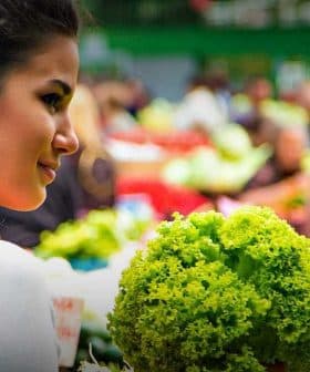 A woman looking at fresh vegetables in a market, with various greens and produce visible in the background. - Olive Oil Times