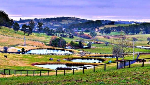 Expansive rural landscape featuring multiple ponds and horses grazing in the fields. - Olive Oil Times