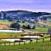 Expansive rural landscape featuring multiple ponds and horses grazing in the fields. - Olive Oil Times