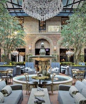 Indoor seating area featuring olive trees, a fountain, and elegant furniture arrangements. - Olive Oil Times