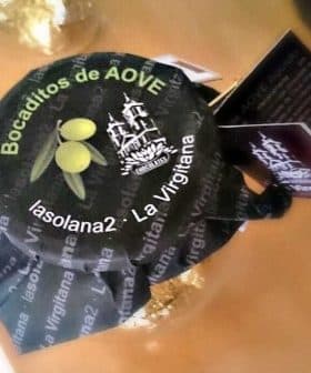 Jar of Bocaditos de AOVE with a black label featuring olive graphics and a logo. - Olive Oil Times