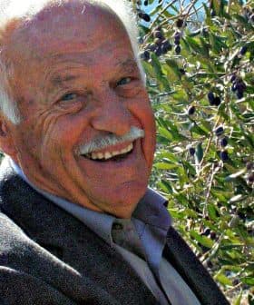 Elderly man smiling while standing next to olive trees with ripe olives. - Olive Oil Times