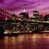 Brooklyn Bridge illuminated at night with the New York City skyline in the background under a purple sky. - Olive Oil Times