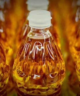 Row of clear plastic bottles filled with golden olive oil, each capped with a white lid. - Olive Oil Times