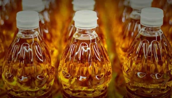Row of clear plastic bottles filled with golden olive oil, each capped with a white lid. - Olive Oil Times