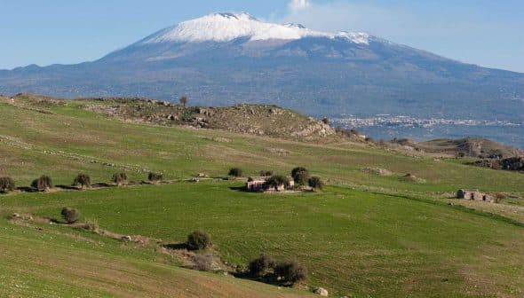 Snow-capped Mount Etna viewed from a green landscape with scattered trees and structures. - Olive Oil Times