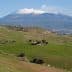 Snow-capped Mount Etna viewed from a green landscape with scattered trees and structures. - Olive Oil Times