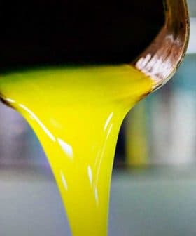 Golden olive oil pouring from a metal spout into a container. - Olive Oil Times