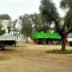 Two trucks parked in an olive grove, one green and one white, with workers nearby. - Olive Oil Times