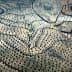 Aerial view of olive tree fields arranged in rows and patterns on a landscape. - Olive Oil Times