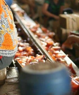 Women sitting on the ground sorting various products in a market setting. - Olive Oil Times