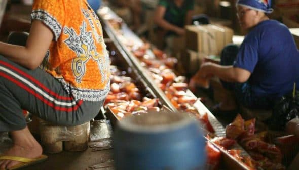 Women sitting on the ground sorting various products in a market setting. - Olive Oil Times