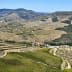 Aerial view of terraced vineyards along the Douro River in the Douro Valley region of Portugal. - Olive Oil Times