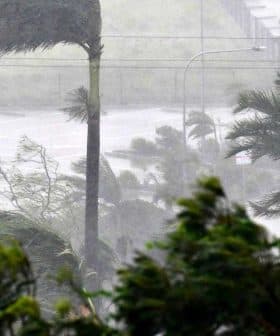 Trees bending due to strong winds and heavy rain during a storm in an outdoor setting. - Olive Oil Times
