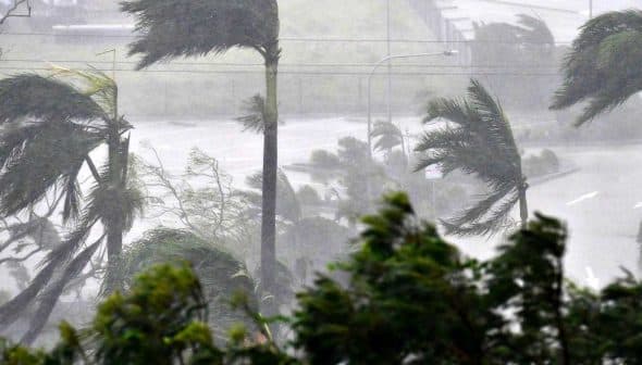 Trees bending due to strong winds and heavy rain during a storm in an outdoor setting. - Olive Oil Times
